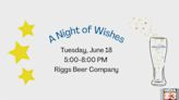 Make-A-Wish Illinois hosting ‘A Night of Wishes’ fundraiser