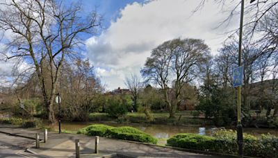 'The ignorant litterers spoiling a beautiful York river walk'