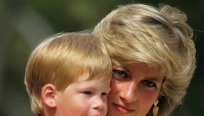 Prince Harry’s Latest Parenting Decision Has To Be a Speedy One — & Princess Diana Must Be On His Mind