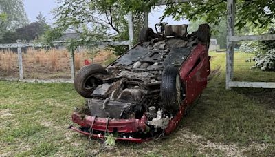 NJ animal sanctuary damaged as driver crashes through fence, destroys well, abandons car