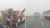 Commuters seen ‘grabbing chickens’ after lorry crash on Indian highway