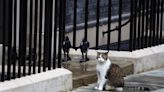 Todo cambia en Downing Street, excepto "el gato Larry"