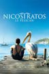 Nicostratos the Pelican