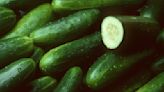 Pay Close Attention To Color To Choose The Absolute Best Cucumber