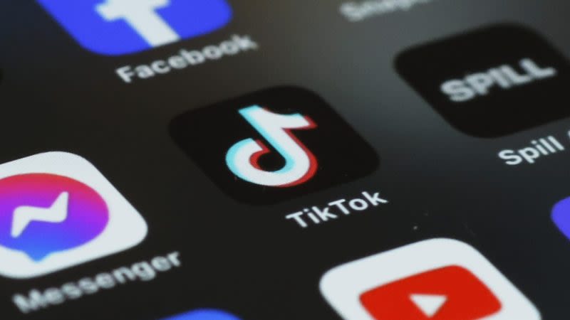 TikTok heads to court over US law that could lead to a ban