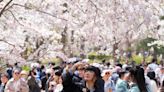 China’s teeming cities get greener and cleaner in nationwide parks campaign