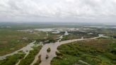 Engineers are diverting Mississippi river to restore Louisiana’s coast