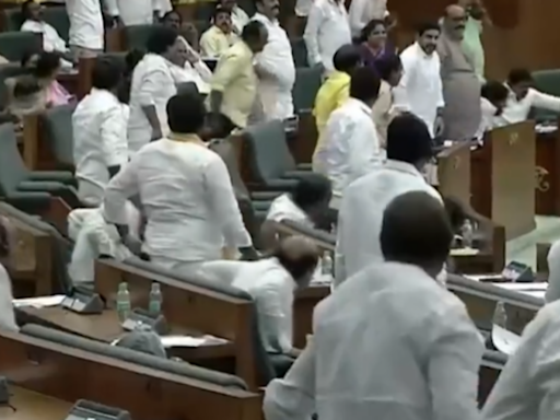 Video: When 80 Per Cent Andhra MLAs Stood Up To This Question From Chandrababu Naidu In Assembly