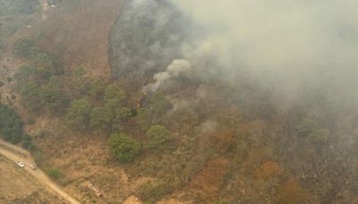 Incendios: Contienen incendio forestal en Mascota