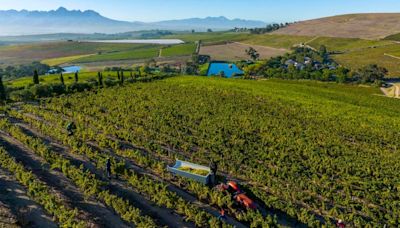 Explore The Riches Of Jordan Wine Estate In Stellenbosch, South Africa