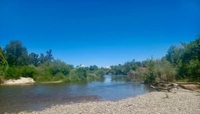 Man drowns in San Joaquin River. Friends told deputies he did not know how to swim