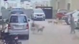 Shocking Video: Woman Attacked By 15 Dogs Recalls Harrowing Encounter - News18