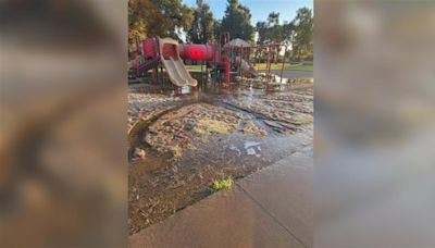 Vandalism in La Junta floods park, causes damages