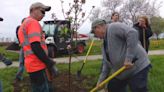 Appleton community comes together to continue tradition of planting apple blossom trees