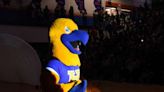 Hoffman Estates High’s hawk gets makeover as 50th anniversary year ends