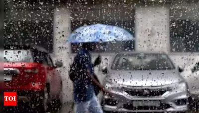Light showers likely in New Delhi, temperature drop expected | Delhi News - Times of India