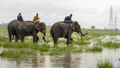 Assam floods: Death toll increases to 58, 24 lakh affected as Brahmaputra, major rivers flows over danger level