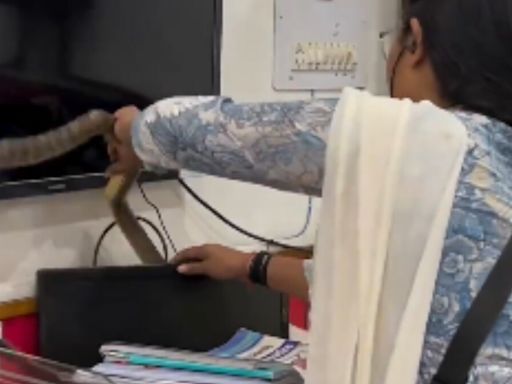 Watch: Fearless Woman Catches Snake Hiding Behind An Office Computer With Bare Hands - News18