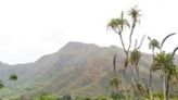 The seemingly unremarkable New Caledonia fern grows only on the remote Pacific island