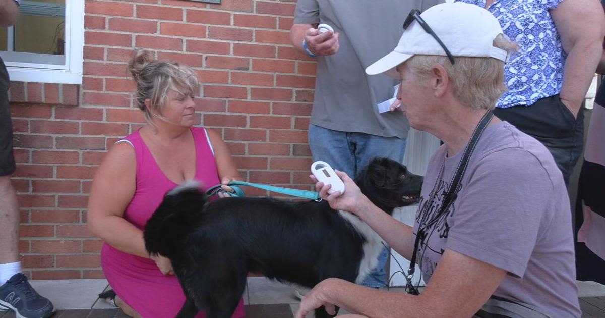 Jeffersontown mayor buys pet microchip scanners to help families find lost pets easier