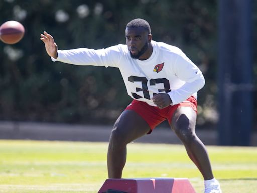 Cardinals Have 'Sleeper' in Rookie RB