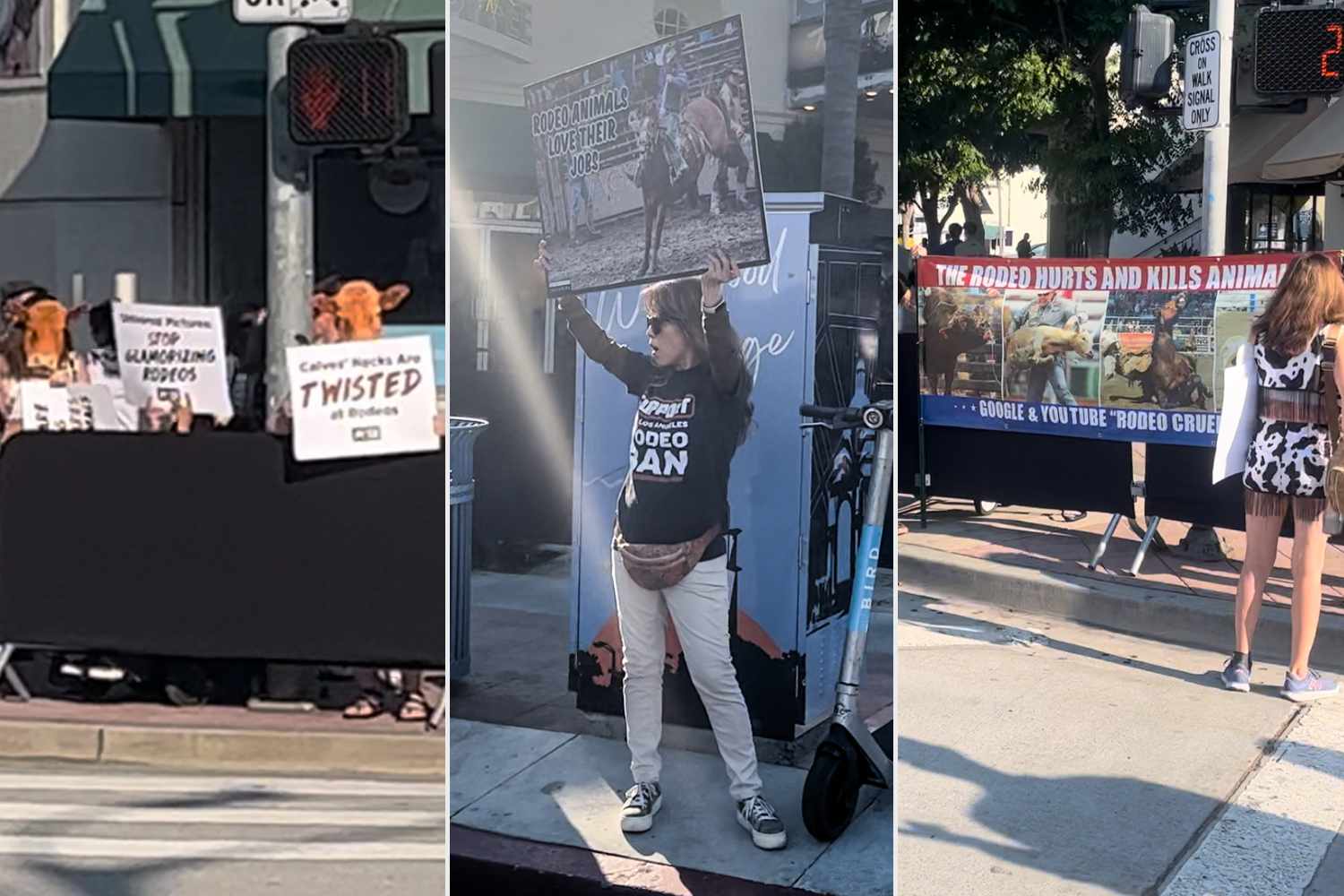 PETA protests 'Twisters' L.A. premiere over rodeo scene