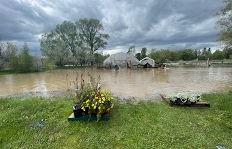 Gov. Gianforte declares flooding disaster