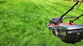 ‘Worst mistake’ to never do when mowing your lawn, gardening warns expert
