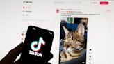 TikTok bows to European pressure and halts reward feature on new app in France and Spain