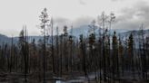 Parks Canada says weekend rain helped Jasper wildfire but hotspots remain