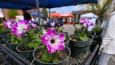 Greeley Farmers’ Market summer season opens at new location