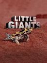 Little Giants