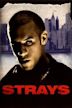 Strays (1997 film)