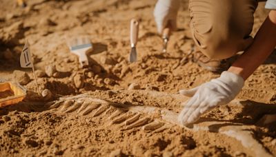 Tyler Lyson of Denver Museum of Nature and Science on New Colo Fossil Find | iHeart