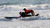 Muere perra surfista que ayudó a sinfín de personas