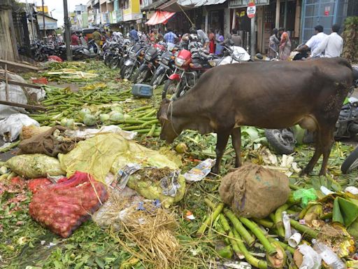 India must put the lid on colossal food loss and waste