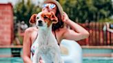 159 Summer Dog Names for the Sundog in Your Life