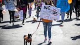 Activistas con sus mascotas piden sanciones más duras por maltrato animal en Bolivia