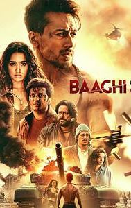 Baaghi 3