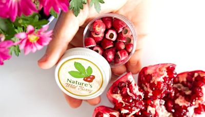 Where Is Nature's Wild Berry From Shark Tank Today?