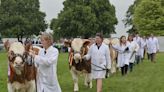 Royal Norfolk Show has great value for local industry