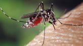 成人幼童不可共用防蚊液 專業藥師建議「3年齡階段」分類使用
