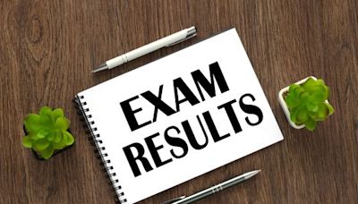 Rajasthan PTET 2024 results announced at ptetvmou2024.org - Check your scorecard