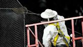 Dodgers and Diamondbacks delayed due to bee swarm