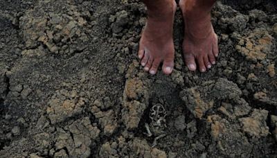 Chegada do La Niña acende alerta sobre as secas que ocorrerão a partir de julho, com impacto sobre o setor elétrico - AMAZÔNIA BRASIL RÁDIO WEB