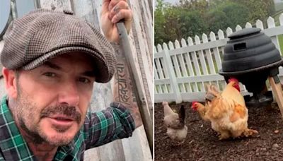 David Beckham mostró cómo es un día en su granja y Victoria le dejó un comentario cargado de humor