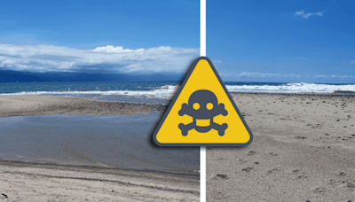 Puerto Vallarta: ¿Dónde está la playa que no es apta para uso recreativo?