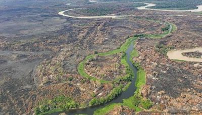 Fuego arrasa con pantanal de Brasil