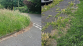 Residents frustrated by delays to grass cutting