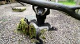 Two critically endangered lemurs born at Scottish safari park